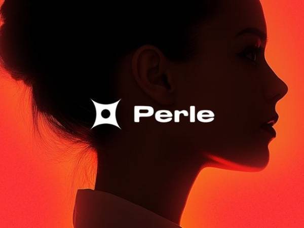 Perle Labs – Nền tảng huấn luyện AI ứng dụng Web3 và blockchain